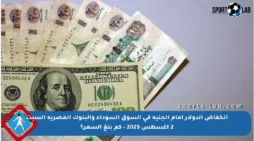 انخفاض الدولار أمام الجنيه في السوق السوداء والبنوك المصرية السبت 2 أغسطس 2025 – كم بلغ السعر؟